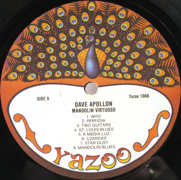 Dave Apollon – Mandolin Virtuoso, image 4