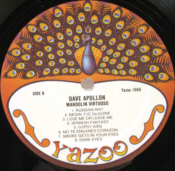 Dave Apollon – Mandolin Virtuoso, image 5