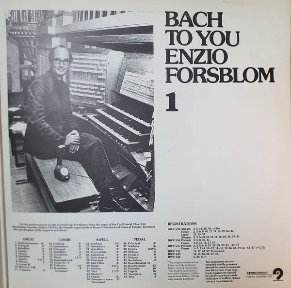 Enzio Forsblom – Bach To You 1, image 3