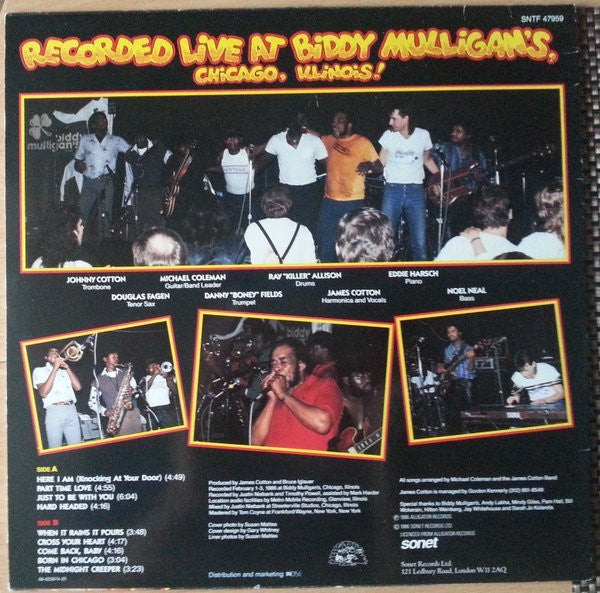 James Cotton And His Big Band – Live From Chicago!, image 5