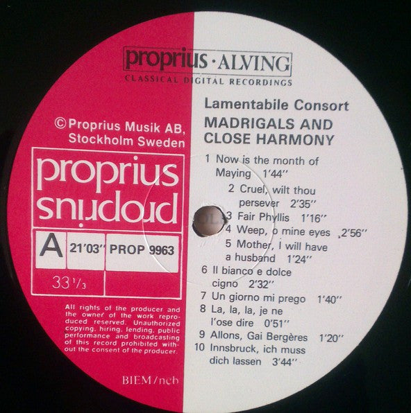 Lamentabile Consort – Singing Madrigals And Arrangements In Close Harmony, image 3