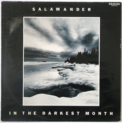 Front cover of Salamander – In The Darkest Month, Dragon, Sweden, 1983