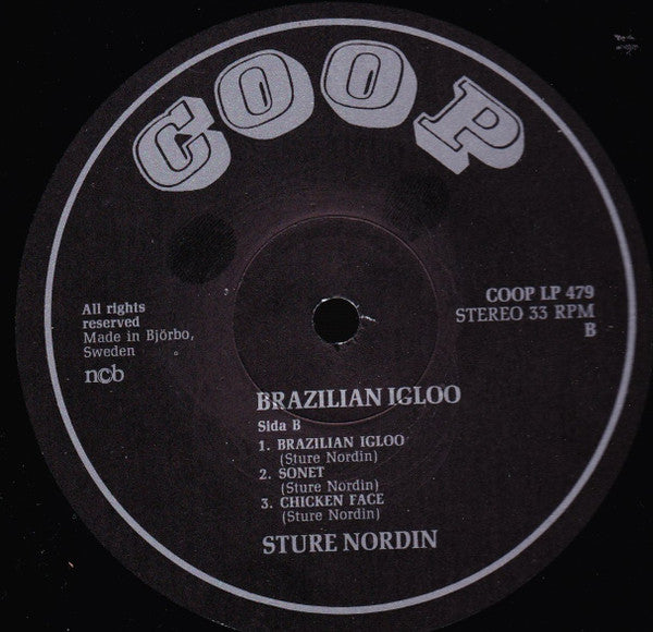 Sture Nordin – Brazilian Igloo, image 4