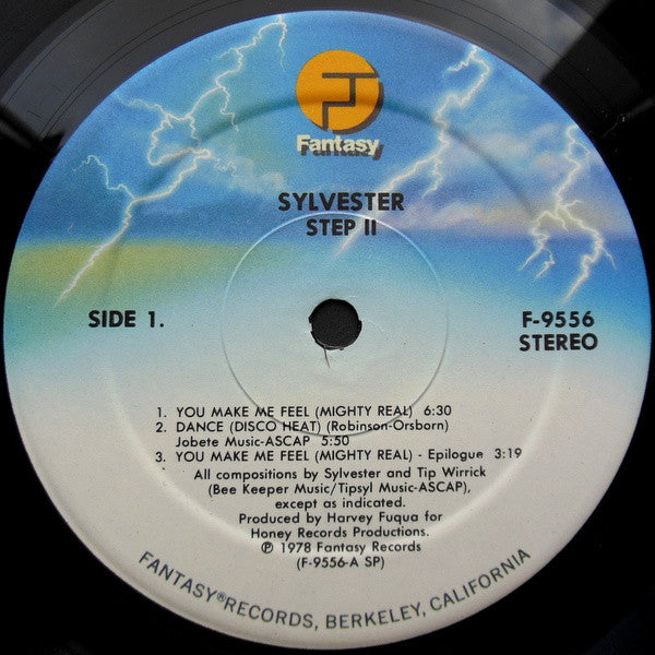 Sylvester – Step II, image 5