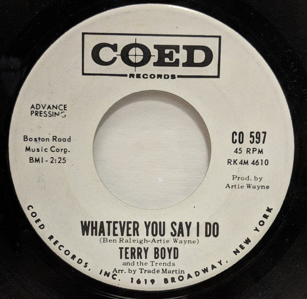Terry Boyd And The Trends – When She Was What She Was, image 2