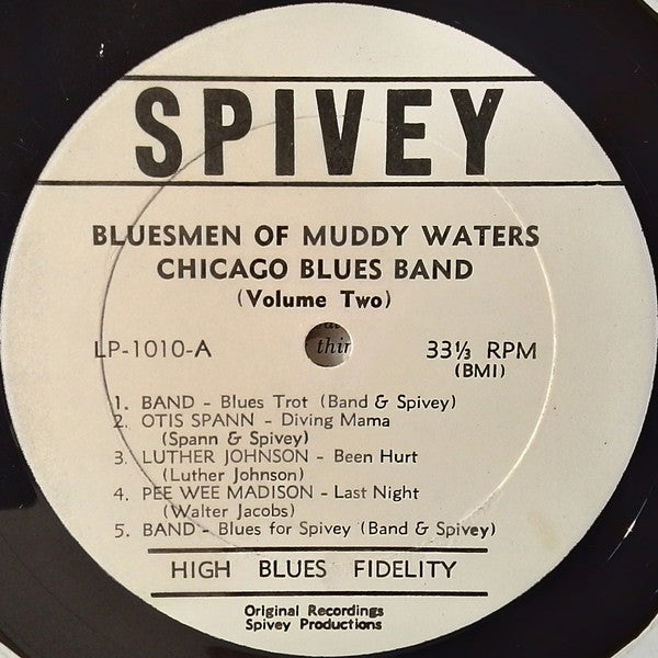 The Bluesmen Of The Muddy Waters Chicago Blues Band – Volume 2, image 3